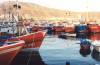 The fishing fleet at evening time